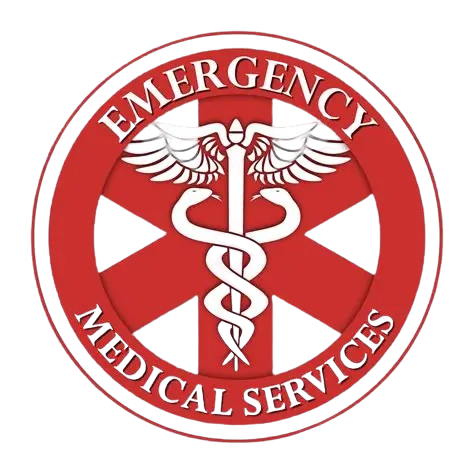 EMS Logo